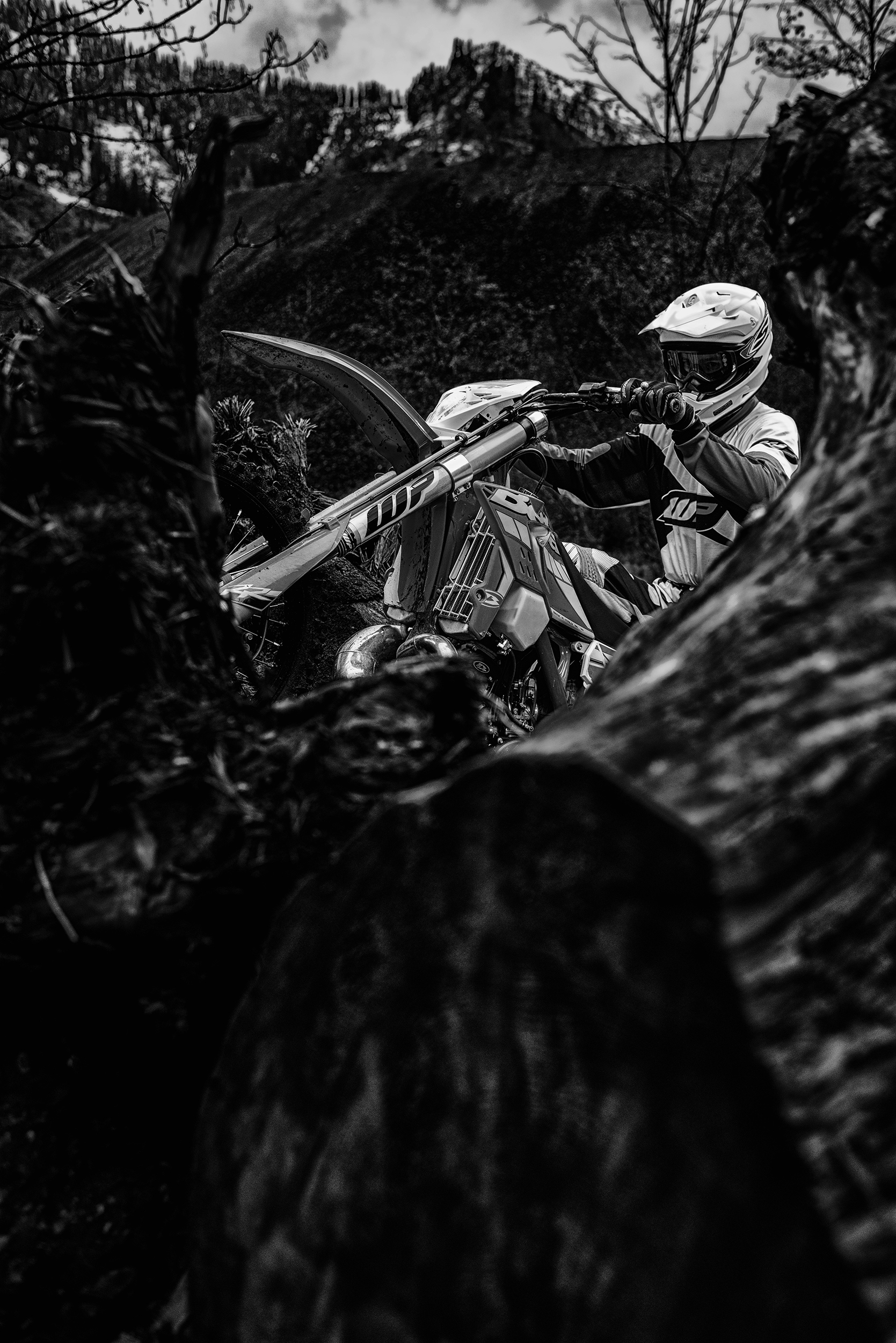 WP6_2